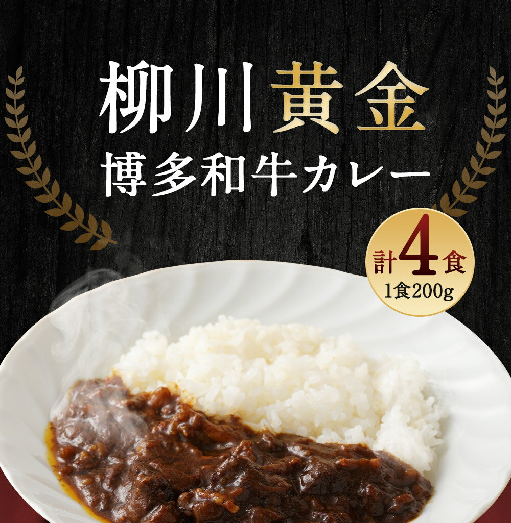 【ふるさと納税】柳川黄金博多和牛カレー 200g×4箱 4人前 博多和牛 カレー スパイス付き お取り寄せ グルメ 冷凍 送料無料