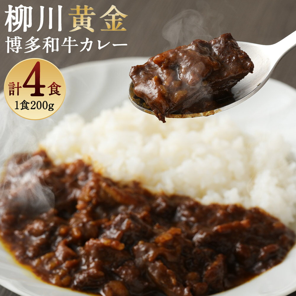 23位! 口コミ数「5件」評価「4.8」柳川黄金博多和牛カレー 200g×4箱 4人前 博多和牛 カレー スパイス付き お取り寄せ グルメ 冷凍 送料無料