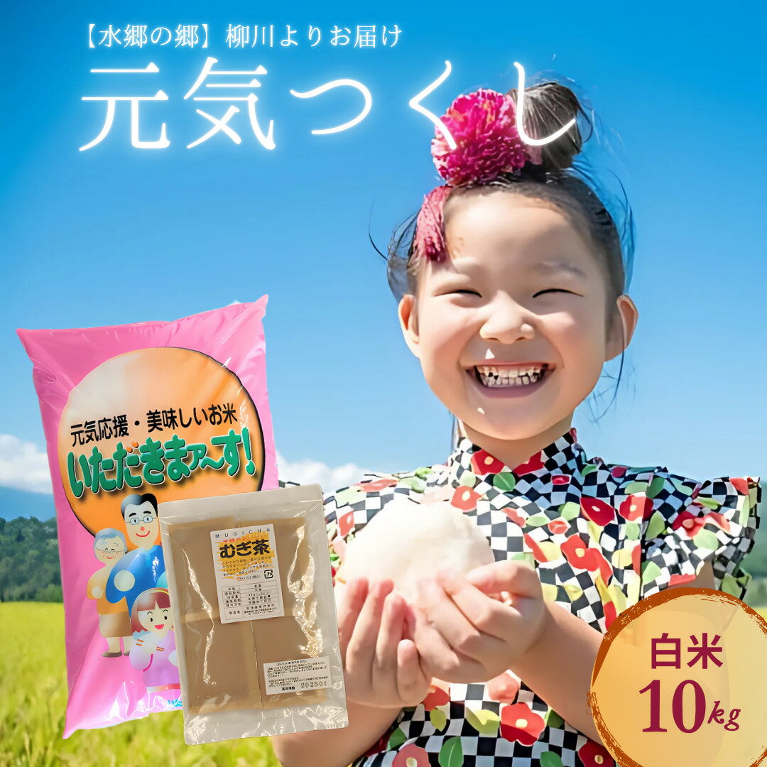 【ふるさと納税】柳川のお米 元気つくし 10kg 麦茶 16パック セット 白米 米 令和6年産 お米 九州産 精米 麦茶パック お茶 福岡県 柳川市 送料無料のサムネイル