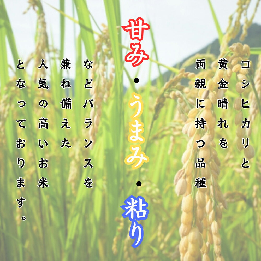 【ふるさと納税】柳川のお米 ヒノヒカリ 4kg 麦茶 52パック セット 白米 米 令和6年産 お米 九州産 精米 麦茶パック お茶 福岡県 柳川市 送料無料