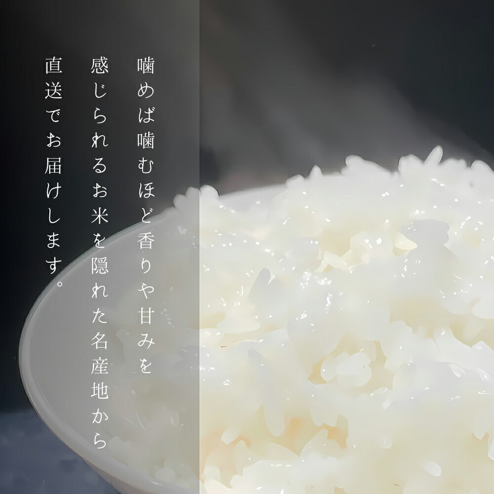 ミツイシ はまぐりめし 170g×30個