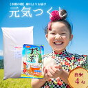 【ふるさと納税】柳川のお米 元気つくし 4kg 麦茶 52パック セット 白米 米 令和6年産 お米 九州産 精米 麦茶パック お茶 福岡県 柳川市 送料無料