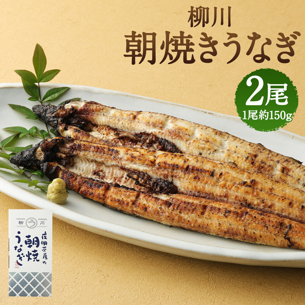 柳川朝焼きうなぎ 2尾入 約150g×2尾 合計約300g タレ・山椒3袋付き 鰻 朝焼き 白焼き 国産 九州産 冷蔵 送料無料