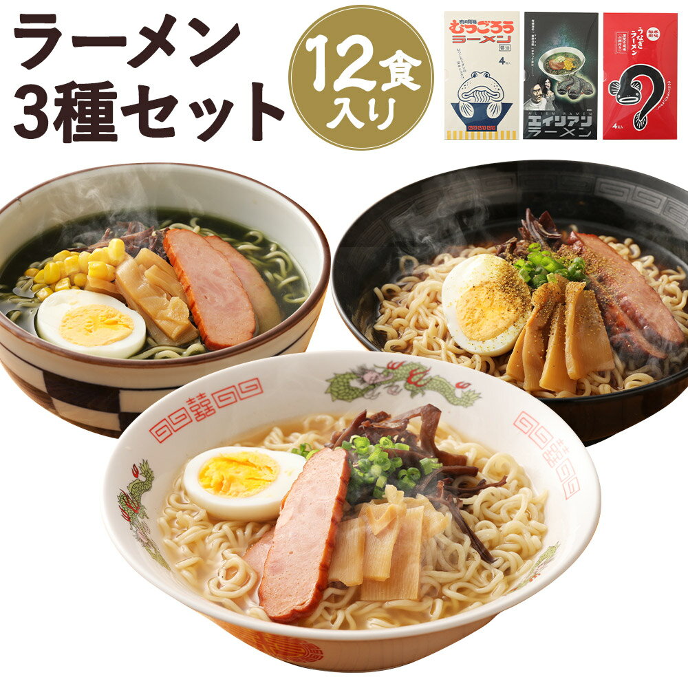 夜明茶屋ラーメン 3種セット 12食入り 3種×各4食 むつごろうラーメン うなぎラーメン エイリアンラーメン インスタント ラーメン 化粧箱入り 保存食 送料無料