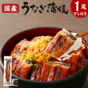 【ふるさと納税】うなぎのかば焼き 1尾 こだわり親父の備長炭手焼き うなぎ ウナギ 鰻 蒲焼 蒲焼き 丑の日 柳川市 九州産 国産 冷蔵 ギフト 贈り物 送料無...