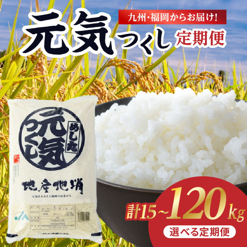 【ふるさと納税】【内容量5kg〜、配送回数1回〜】【特A獲得 4年連続 米の食味ランキング】九州・福岡からお届け!ブランド米「元気つくし」 定期便 お米 コメ ...