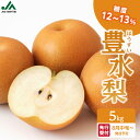 【ふるさと納税】【先行受付】福岡・八女の豊水梨(5kg)【JAふくおか八女】【光センサー選果】糖度12~13% 2026年8月中旬~発送予定 | なし 梨 ナシ 豊水梨 豊水 福岡 4L~2Lサイズ 産地直送 期間限定 甘い みずみずしい 果物 果実 フルーツ デザート 旬