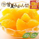 【ふるさと納税】【選べる内容量】【高評価★4.70以上】甘夏みかん 缶詰 (12缶・24缶)(身割れ) 最強配送 翌日配送 最強翌日配送 フルーツ フルーツ缶詰...