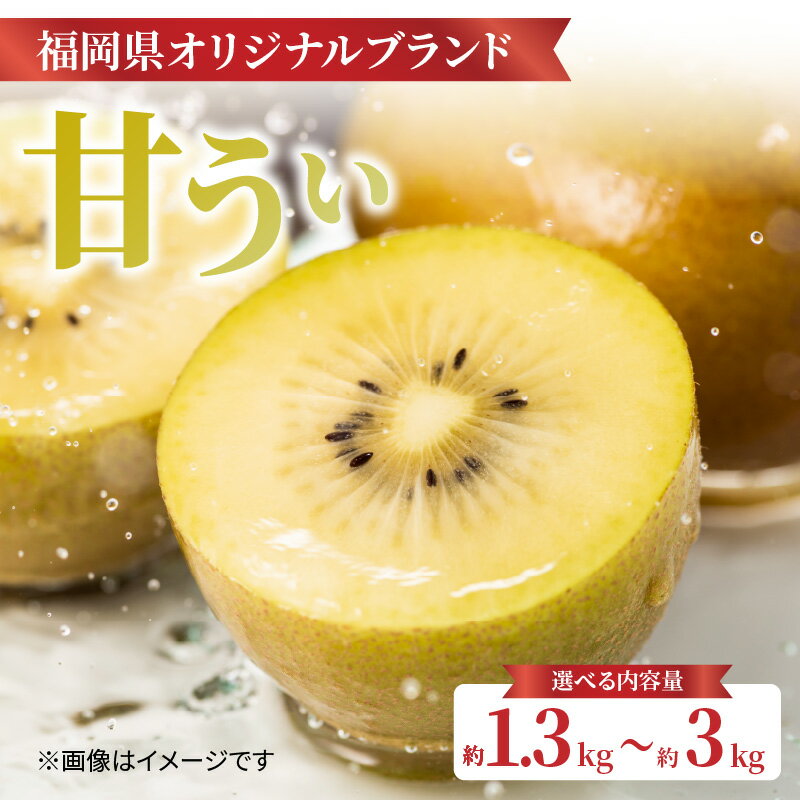 【ふるさと納税】【2023年11月ごろ発送開始】日本一のキウイ産地「フルーツ王国福岡・八女」からお届け！福岡限定品種キウイ「甘うぃ」約3.6kg＜配送不可：北海道・沖縄・離島＞ | 先行予約 キウイフルーツ お取り寄せ フルーツ 果物 ギフト 贈答 贈り物 送料無料のサムネイル