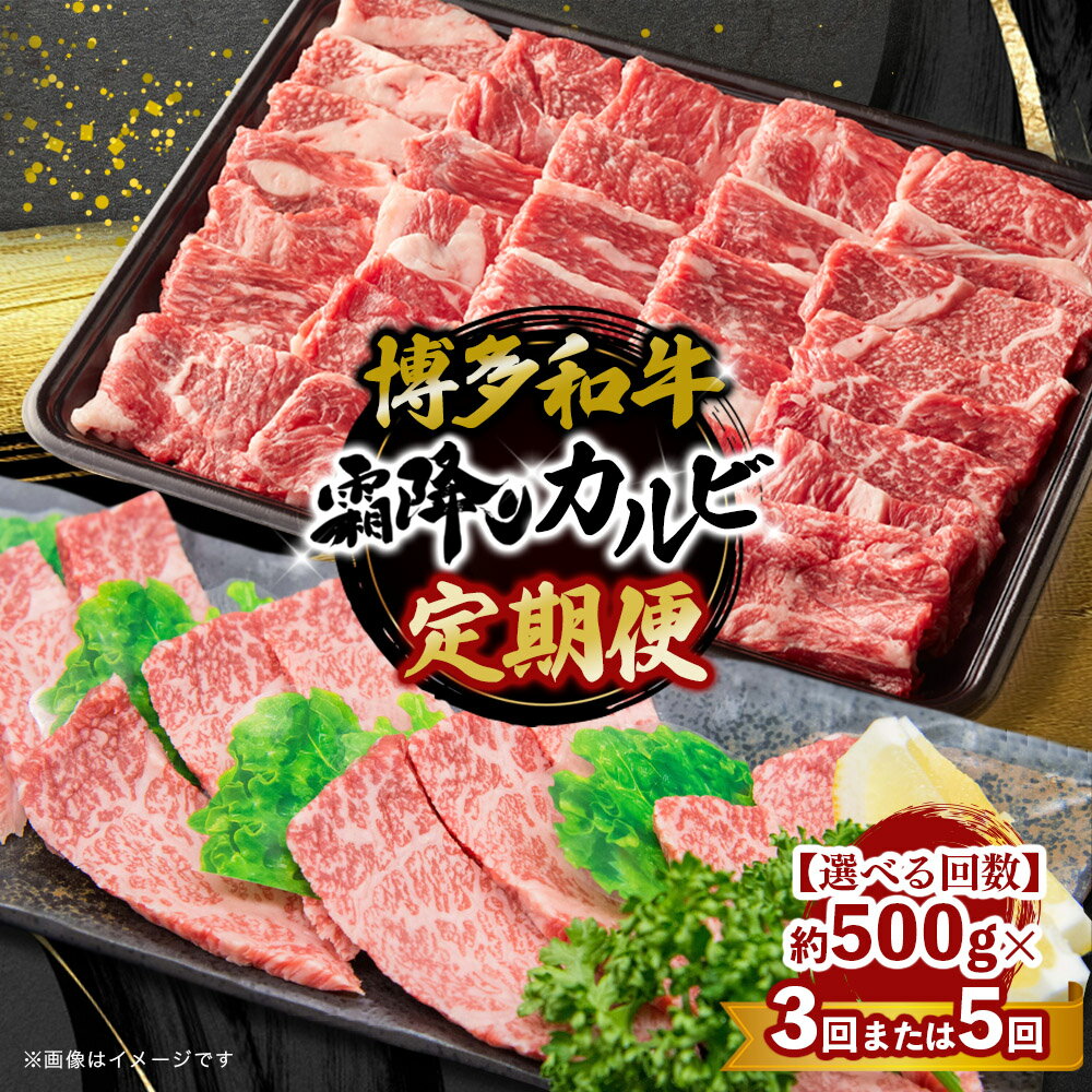 [選べる定期便]博多和牛 霜降りカルビ 約500g[全3回・全5回] 肉 お肉 和牛 カルビ バーベキュー BBQ 焼肉