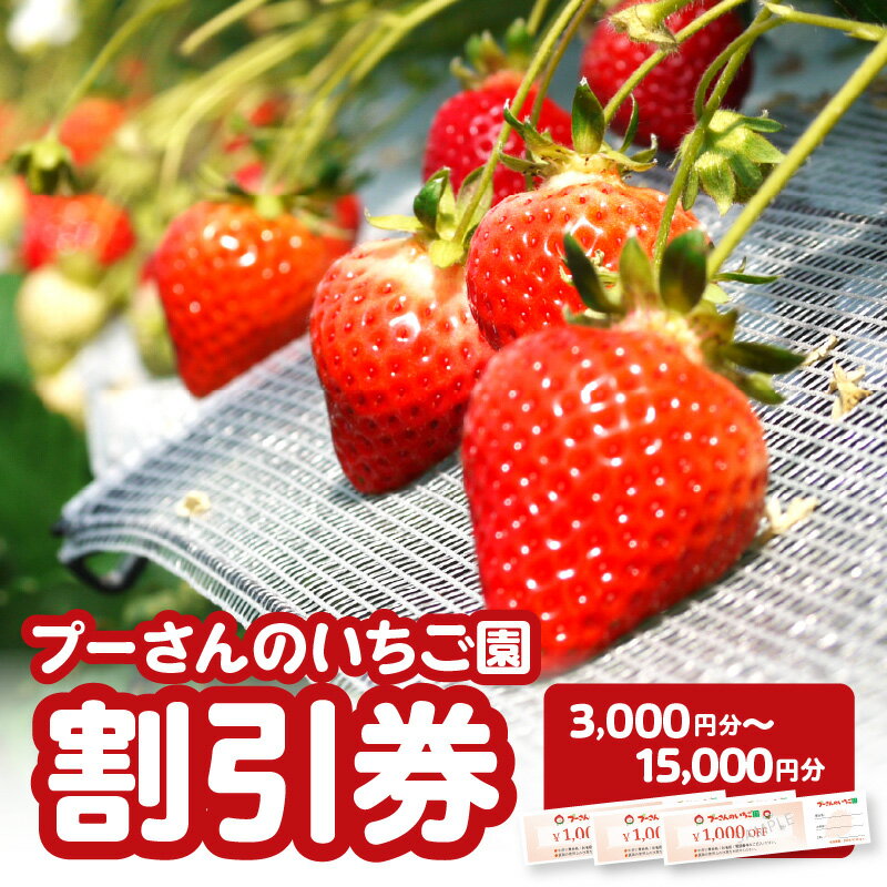 【ふるさと納税】プーさんのいちご園 割引券(3,000円分〜15,000円分) 【レターパック】 イチゴ狩り あまおう 恋みのり 紅ほっぺ さがほのか かおり野...