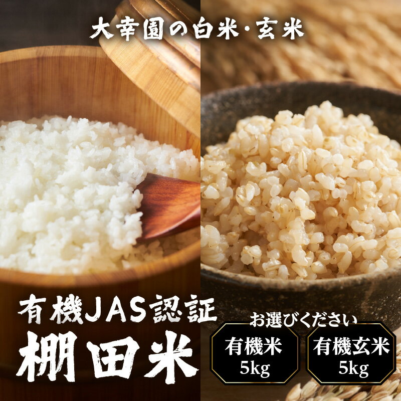 【ふるさと納税】【選べる種類】大幸園の米 有機JAS 認証 棚田米 5kg (有機米・有機玄米) 米 お米 白米 玄米 有機米 有機玄米 甘い 有機栽培 無農薬...