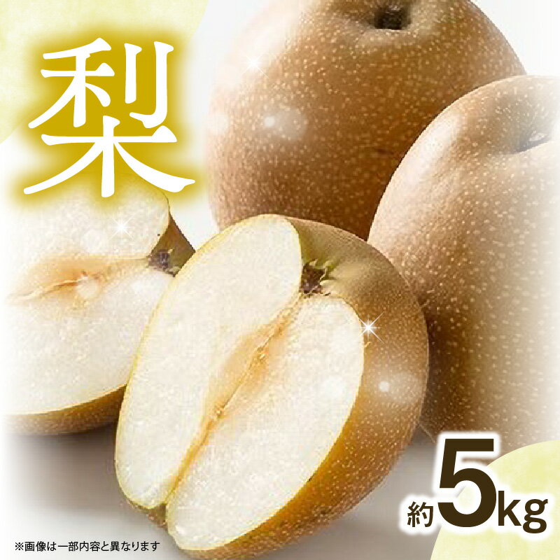 【ふるさと納税】【先行受付】梨(5kg)|2026年9月下旬〜発送予定 なし 梨 旬 フルーツ 果物 くだもの 福岡県 八女市