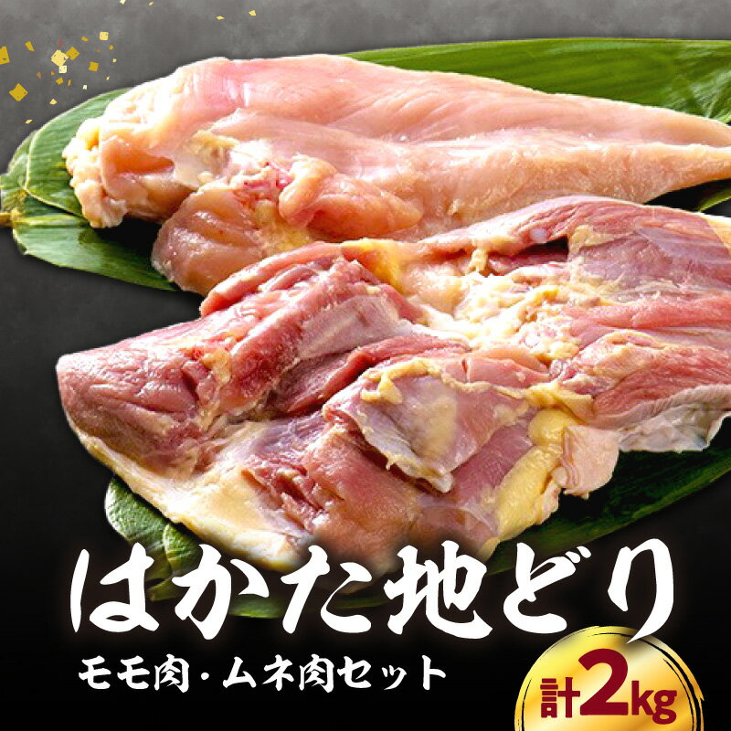 はかた地どりモモムネセット 2kg(1kg×2p) はかた地どり 地鶏 郷土料理 水炊き 焼肉 ステーキ 炭火焼 筑前煮 福岡県 八女市