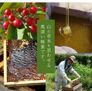 【ふるさと納税】かの蜂 国産もち蜂蜜【1kg】養蜂一筋60年自慢の一品 さっぱりとした後味の蜂蜜|はちみつ ハチミツ 蜂蜜 福岡 ハニーお取り寄せ 国産蜂蜜 国産ハチミツ 国産はちみつ 純粋はちみつ 純粋ハチミツ 九州 かの蜂 お土産 福岡土産 国産純粋はちみつ かの蜂蜜