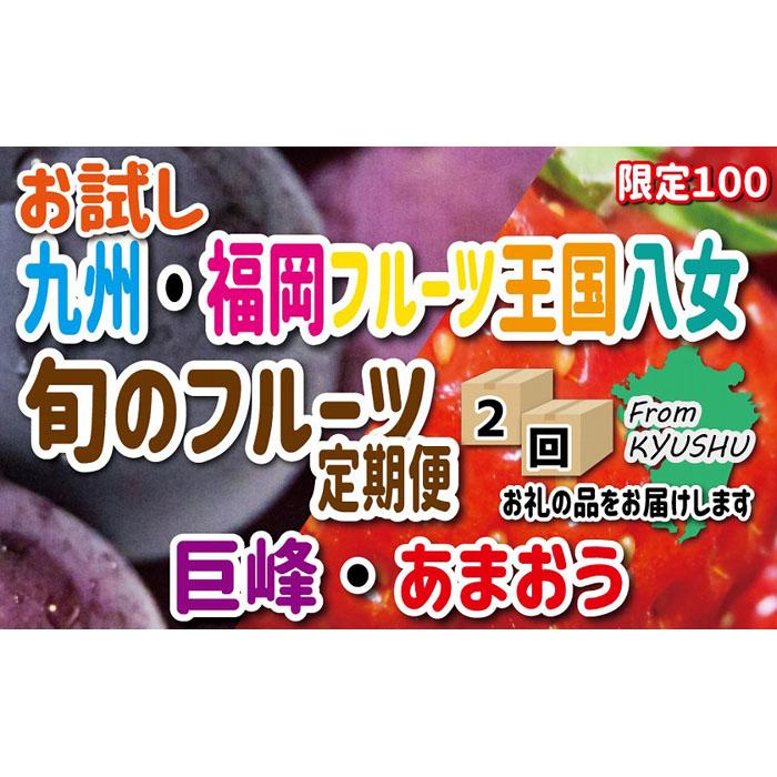 5位! 口コミ数「1件」評価「5」九州・福岡フルーツ王国八女　お試し旬のフルーツ定期便【全2回】 D　あまおう 巨峰 いちご 苺 ぶどう 果物 先行予約