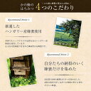 福岡県八女市の画像3