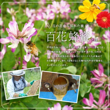 【ふるさと納税】かの蜂 国産百花蜂蜜3kg(とんがり容器500g×6) はちみつ ハチミツ 蜂蜜 ハニー 国産蜂蜜 国産ハチミツ 国産 純粋 お土産 福岡県八女市 福岡県 八女市 福岡 九州 ふるさと 納税 楽天ふるさと納税 支援品 百花蜂蜜 百花はちみつ 国産純粋ハチミツ