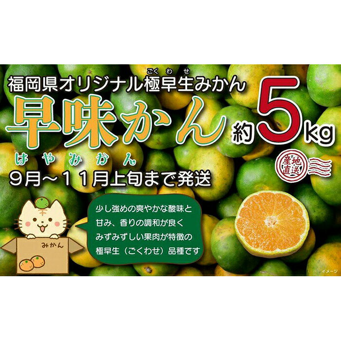 [先行受付]2024年の秋に配送!福岡県オリジナル品種極早生みかん『早味かん』約5kg[配送不可:北海道・沖縄・離島] 果物 フルーツ ミカン おいしい 八女