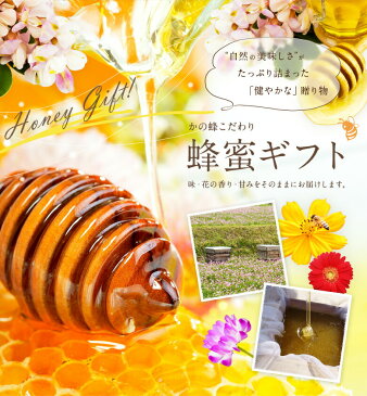 【ふるさと納税】【ギフト用】かの蜂 国産 蜂蜜 3本セット250g×3本(れんげ・みかん・そよご) | はちみつ ハチミツ ハニー 国産蜂蜜 国産 純粋はちみつ 八女市 福岡 九州 ふるさと 納税 楽天 支援品 国産純粋ハチミツ 実用的 調味料 お中元 お歳暮 母の日 父の日 誕生日