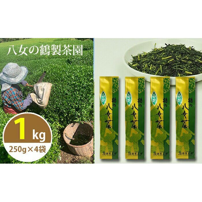 生産農家の自家用八女茶たっぷり熱盛り1kg(便利な小分け250g×4袋)[八女の鶴製茶園] 白折 茎茶 お茶 大容量 まろやか 八女 国産