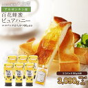 【ふるさと納税】かの蜂 ピュアハニー【AR】3kg(500g×6本) 純粋はちみつ ※エコパックはちみつ90g付き はちみつ ハチミツ 蜂蜜 ワンタッチボトル ...