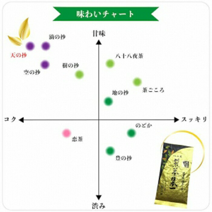 【ふるさと納税】八女茶ギフト 最高級深蒸し茶2袋セット 天の抄 お茶 緑茶 煎茶 日本茶 最高級 自園自製 安心安全 プレゼント 包装