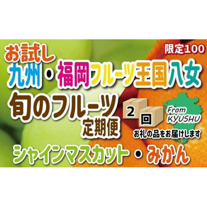 九州・福岡フルーツ王国八女 お試し旬のフルーツ定期便[全2回] G[配送不可:北海道・沖縄・離島] シャインマスカット みかん フルーツ 旬