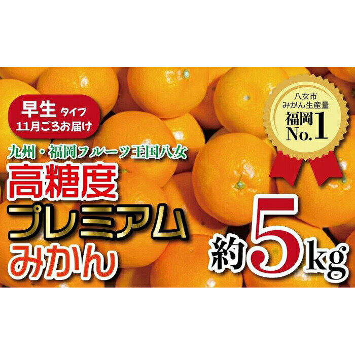 [先行受付:2024年11月発送開始]高糖度プレミアムみかん「早生」約5kg|[配送不可:北海道・沖縄・離島] ミカン 蜜柑 柑橘 果物 フルーツ オレンジ