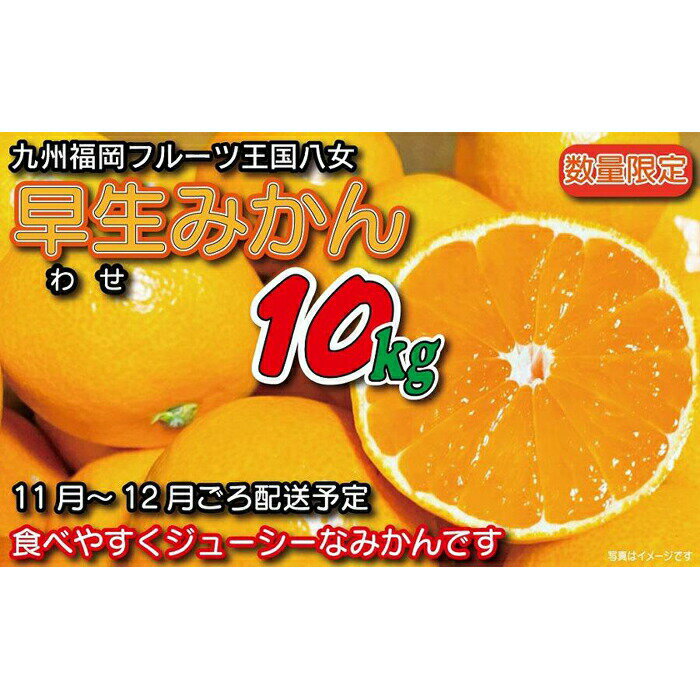 [先行受付:2024年11月発送開始]みかん「早生」約10kg|[配送不可:北海道・沖縄・離島] 蜜柑 柑橘 オレンジ 早生みかん 果物 フルーツ 福岡 八女 大容量 10kg