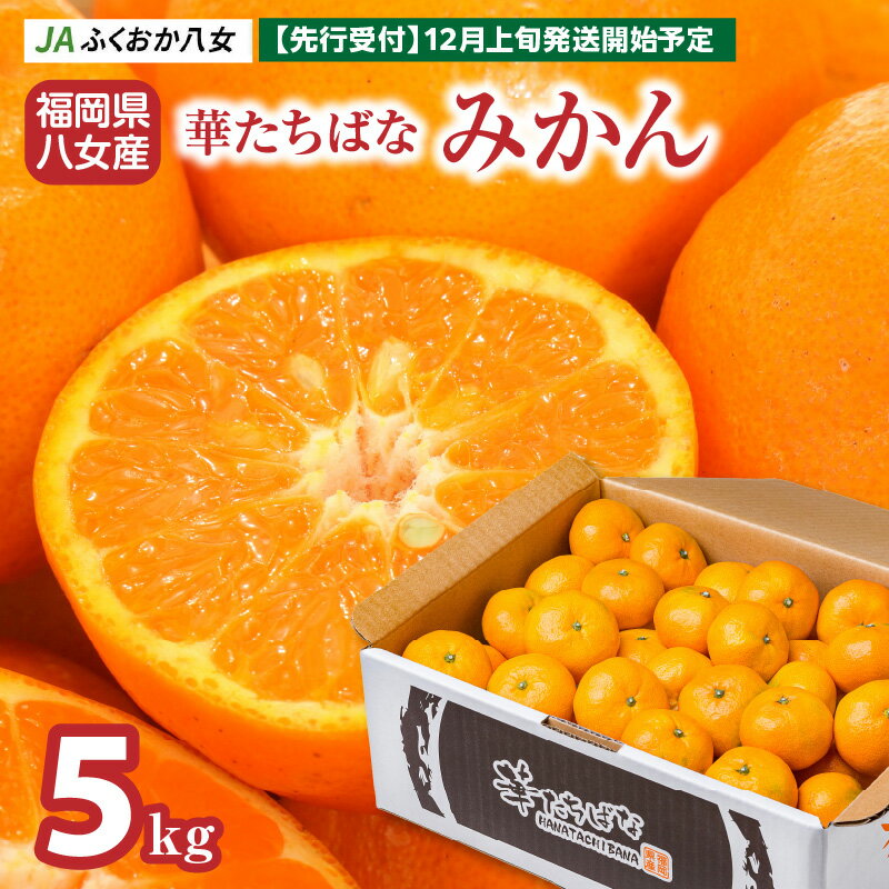 [2024年12月発送開始]華たちばなみかん 5kg 蜜柑 ミカン 秀品 福岡 果物 フルーツ 先行予約 家庭用 自宅用 送料無料 10000円 1万円