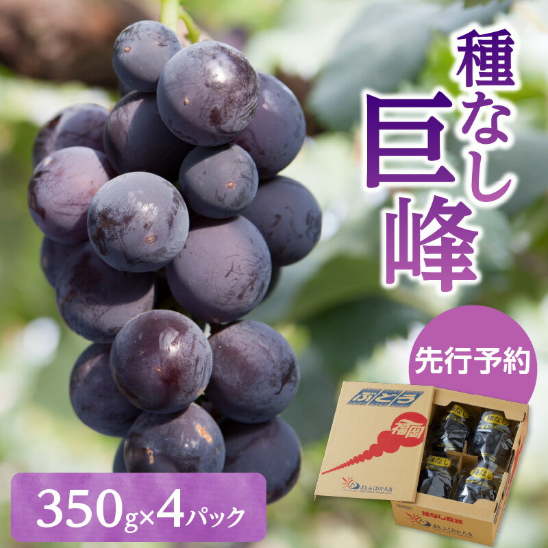 【ふるさと納税】種なし 巨峰 1.4kg（350g×4パック）【JAふくおか八女】｜7月上旬～8月上旬発送予定 種無し ぶどう ブドウ 産地直送 朝もぎ もぎたて 九州 福岡