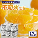 【ふるさと納税】《レビューキャンペーン》 【訳あり】もったいな果シリーズ 不知火 缶詰 5号缶×12缶 セット 国産 しらぬい みかん 蜜柑 ミカン デザート ...