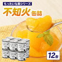 【ふるさと納税】《レビューキャンペーン》 【訳あり】もったいな果シリーズ 不知火 缶詰 5号缶×12缶 セット 国産 しらぬい みかん 蜜柑 ミカン デザート ...