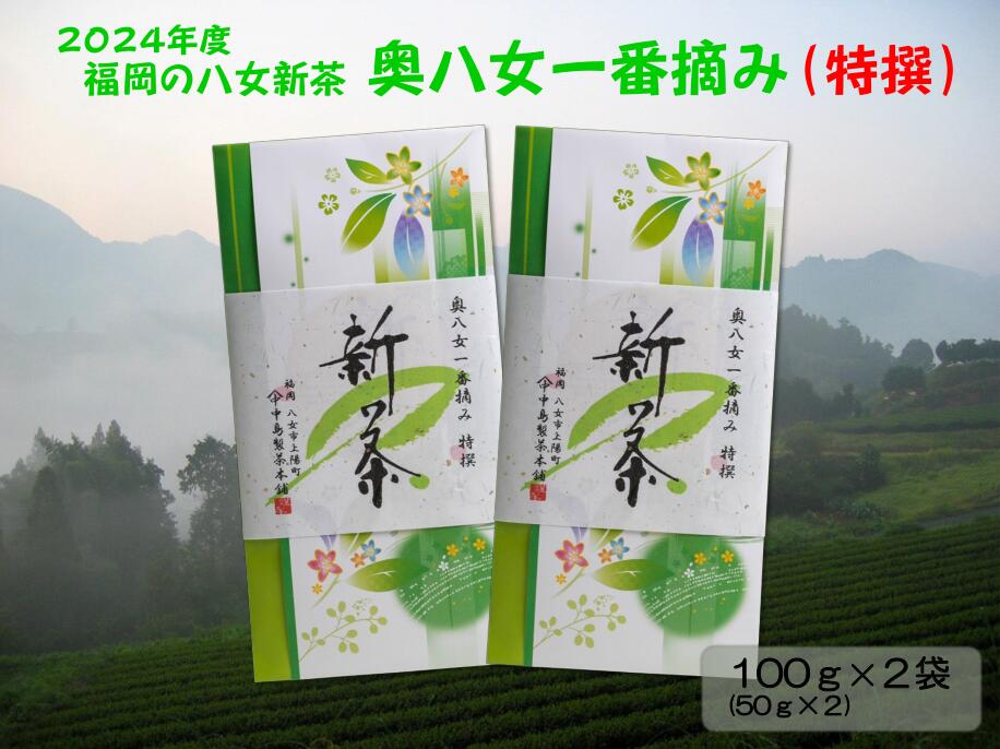 [新茶]ギフト用 八女新茶 一番摘み 特撰(100g×2袋)[2024年5月発送開始] 新茶 八女茶 煎茶 緑茶 茶葉 ギフト 贈り物