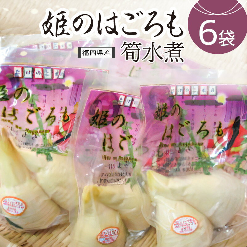 姫のはごろも(たけのこの水煮)150g×6袋|[出荷開始時期]2024年5月以降 筍 タケノコ 福岡県産 小分け