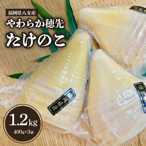 【ふるさと納税】福岡県八女産　やわらか穂先たけのこ　400g×3袋｜【出荷時期】2024年5月以降 筍 竹の子 無添加