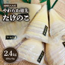 福岡県八女産　やわらか穂先たけのこ　400g×6袋｜2024年5月以降発送 筍 竹の子 水煮 無添加 添加物不使用 旬 食材 国産