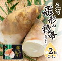 【ふるさと納税】【2024年3月末より配送】生筍 「飛形の穂希」2kg たけのこ 筍 産地直送 旬