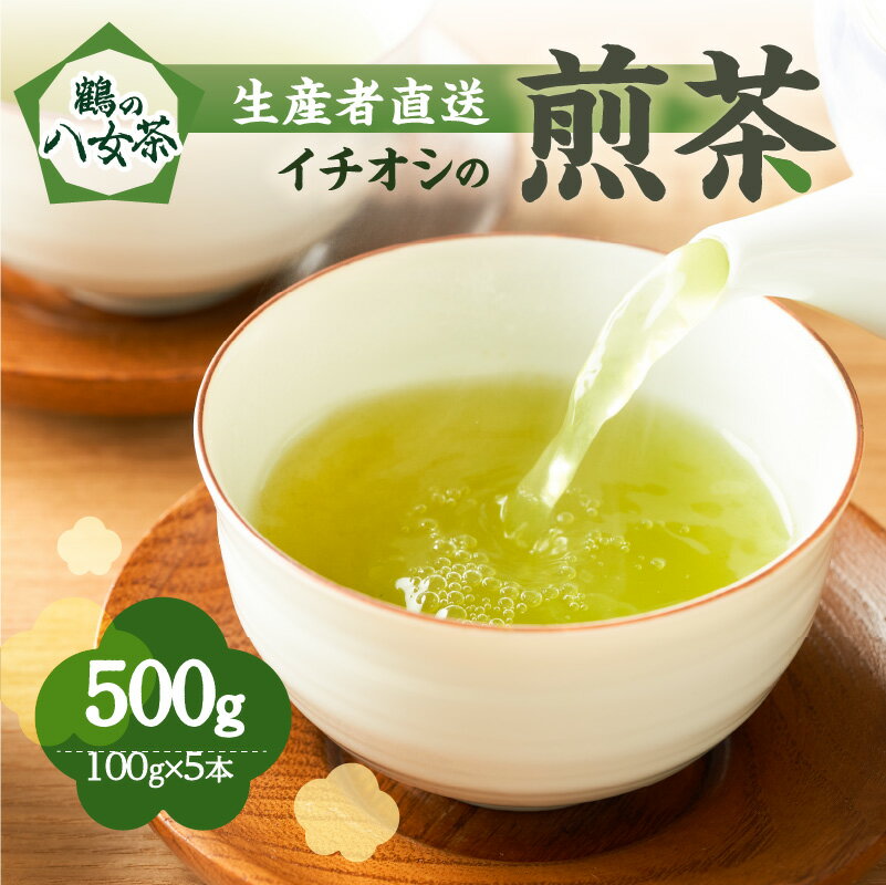 鶴の八女茶(イチオシの煎茶) [生産者直送] 100g×5本 産地直送 産直 お茶 緑茶 本格 国産 人気 真空パック