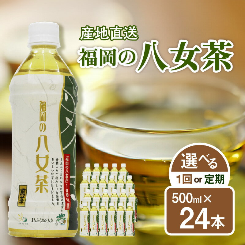 【ふるさと納税】【単品 定期便 選べる】福岡の八女茶 煎茶ペットボトル（500ml×24本）【産地直送】 お茶 緑茶 八女産 安全安心