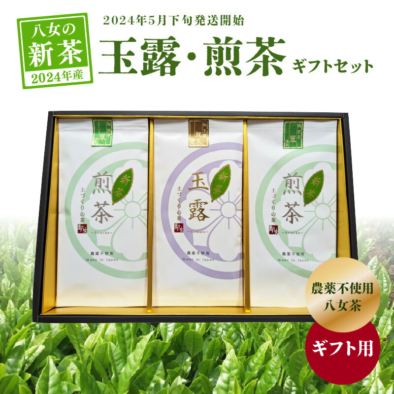 [2024年新茶][ギフト用][農薬不使用]玉露・煎茶ギフトセット[2024年5月下旬発送開始] 茶 お茶 新茶 煎茶 玉露