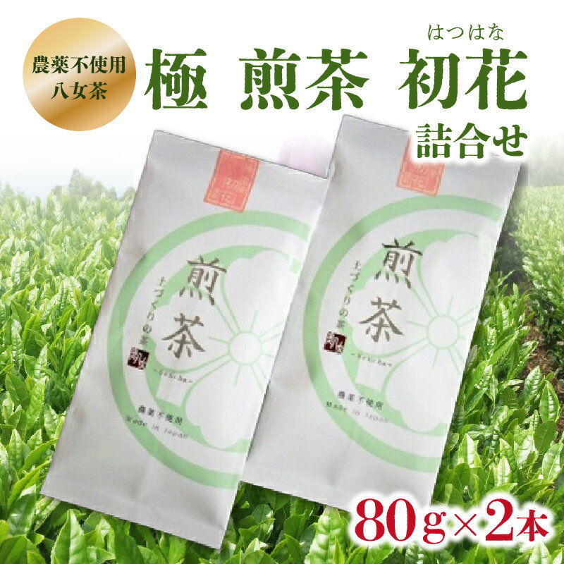 [農薬不使用八女茶] 極 煎茶初花詰合せ[80g×2本] 八女茶 煎茶 手づくり 農薬不使用