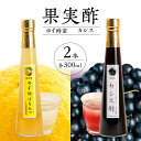 【ふるさと納税】果物酢(ゆず蜂蜜・カシス)セット【牛乳やソーダ割やヨーグルトにかけて】酢 果実 フルーツ ゆず カシス