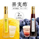 【ふるさと納税】<江崎酢醸造元>果実酢2本セット(ゆず蜂蜜・ブルーベリー) 果実 酢 ゆず 蜂蜜 炭酸 水割り 夏バテ対策 お湯割り ホット ヨーグルト ソース フルーツビネガー