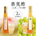 【ふるさと納税】<江崎酢醸造元>果実酢2本セット(白桃・マスカット黒酢) 果実 酢 もも 炭酸 水割り 夏バテ対策 お湯割り ホット ヨーグルト ソース フルーツビネガー