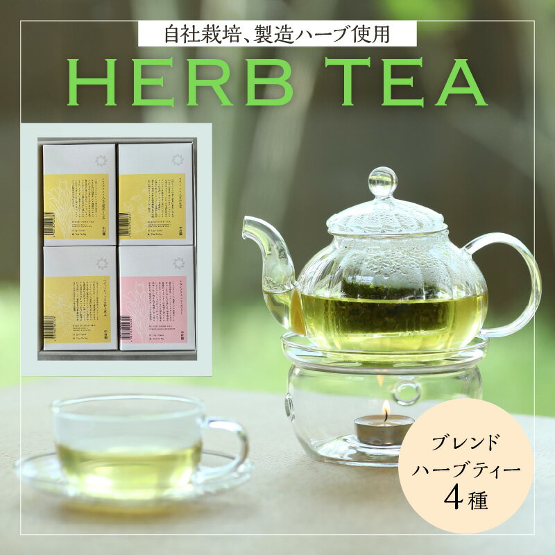 中村園 八女産ブレンドハーブティー4種セット ティーパック お茶 紅茶 和紅茶 煎茶 玉露 ほうじ茶 レモングラス カモミール ペパーミント 自社栽培 カフェイン ノンカフェイン