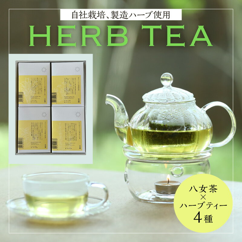 中村園 ハーブ×八女茶ブレンド 4種セット ハーブティ ハーブ 八女茶 自社栽培 カモミール ペパーミント レモングラス ローズマリー 和紅茶 煎茶 ほうじ茶 ティーバッグ