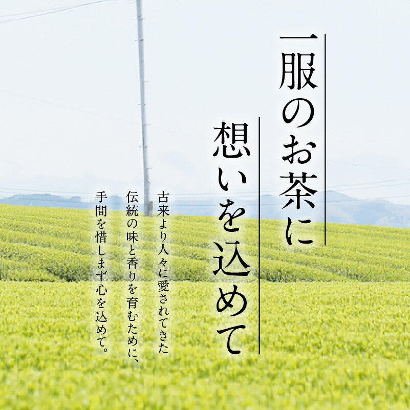 【ふるさと納税】【お茶の光玉園】八女煎茶 100g×5本セット お茶 煎茶 緑茶 茶葉 八女茶 ギフト プレゼント 手土産 贈答用