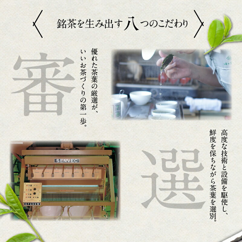 【ふるさと納税】【お茶の光玉園】八女煎茶 100g×5本セット お茶 煎茶 緑茶 茶葉 八女茶 ギフト プレゼント 手土産 贈答用 福岡県 八女市